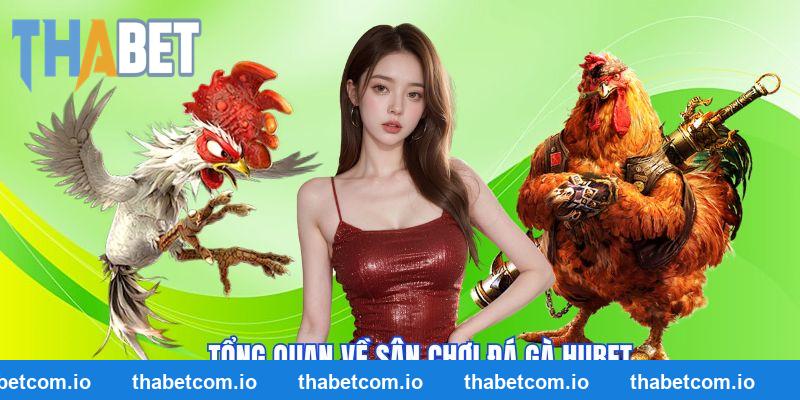 Những thông tin cần biết về sân chơi đá gà THABET 