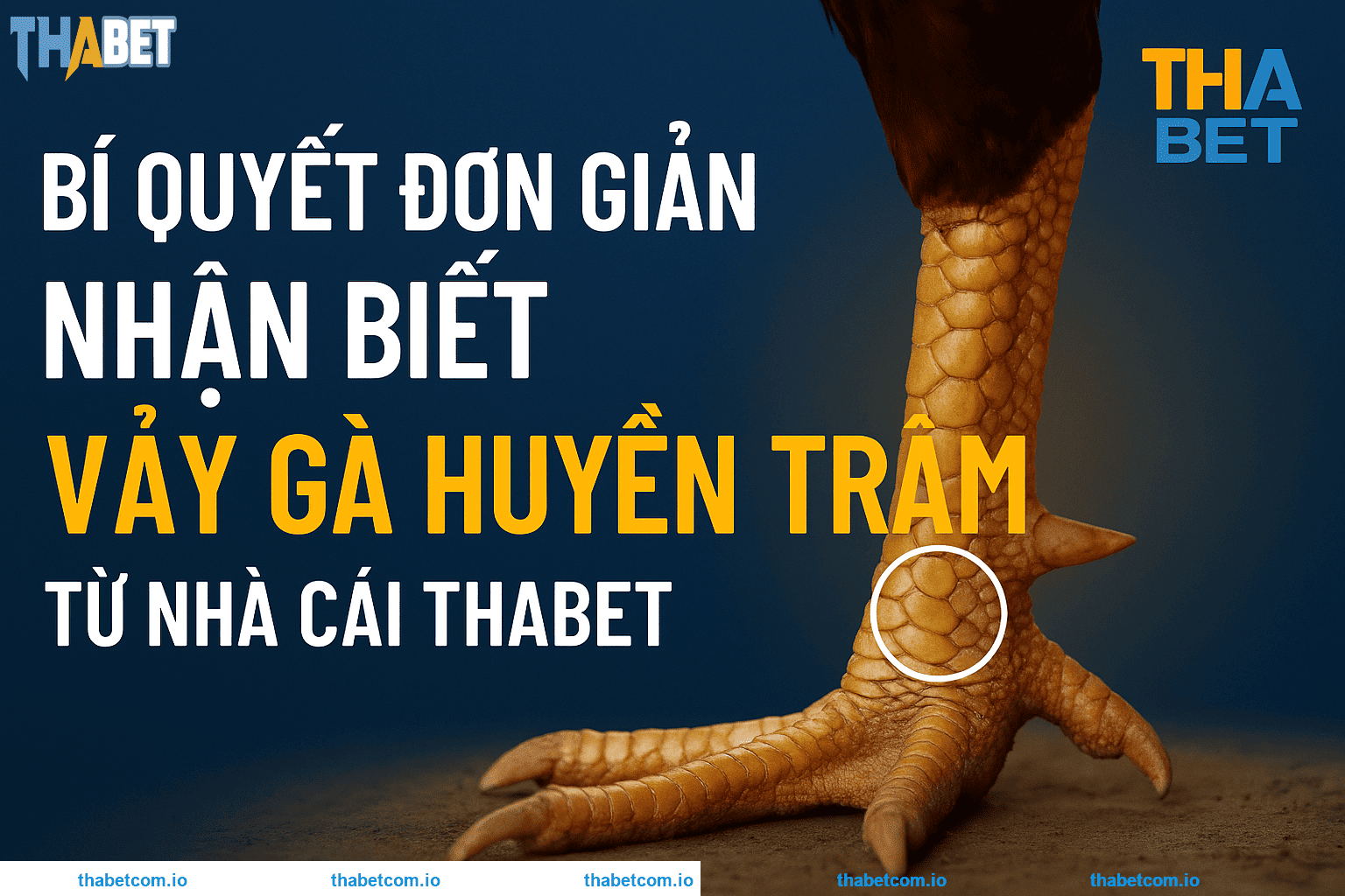 Bí quyết đơn giản nhận biết vảy gà Huyền Trâm từ nhà cái THABET