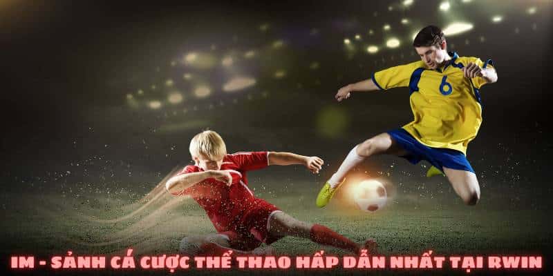 IM – Sảnh cá cược thể thao hấp dẫn nhất tại THABET